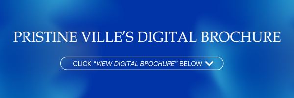 Digital Brochure Header